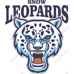 Fierce Snow Leopard