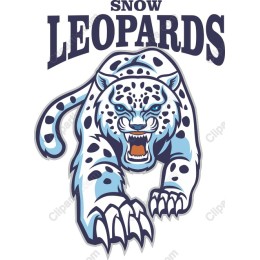Fierce Snow Leopard