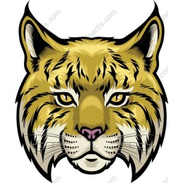 Fierce Tiger Face