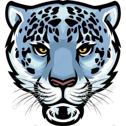 Snow Leopard