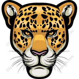 Leopard Head