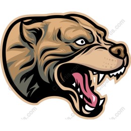 Fierce Bear Head
