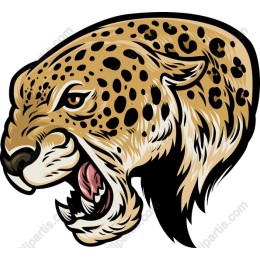 Fierce Leopard Head