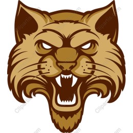 Fierce Lynx Head
