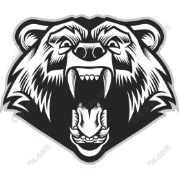 Majestic Bear Head