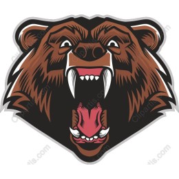 Fierce Grizzly Bear