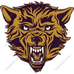 Fierce Bear Head