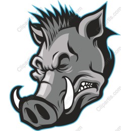Fierce Wild Boar