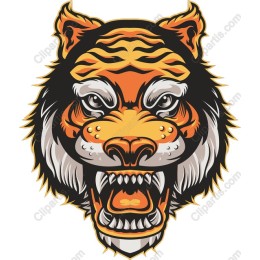 Roaring Tiger Head