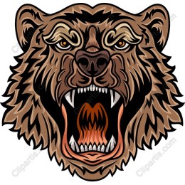 Fierce Bear Head
