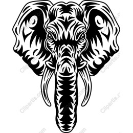 Majestic Elephant Head