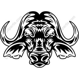 Bold Buffalo Head
