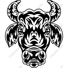 Majestic Bull Head