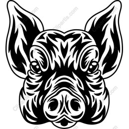 Artistic Pig Head