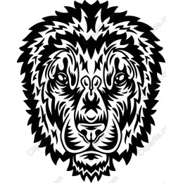 Majestic Lion Head