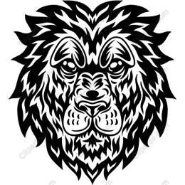 Fierce Lion Head