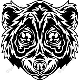 Wild Bear Face