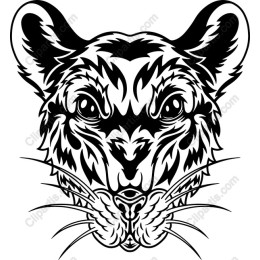 Fierce Tiger
