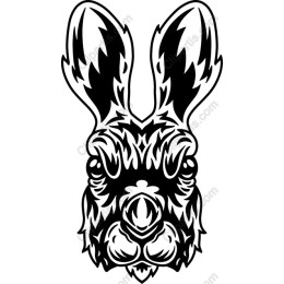 Black Rabbit