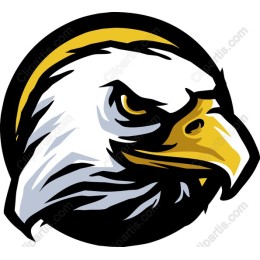 Majestic Eagle Head