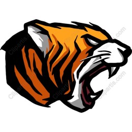 Fierce Roaring Tiger Head