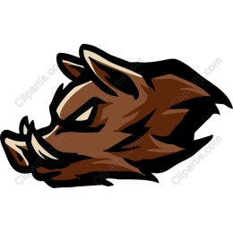 Fierce Boar Head