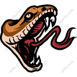 Fierce Snake Head