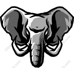 Bold Elephant Head