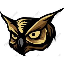 Owl Head