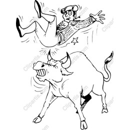 Playful Bull Encounter