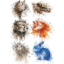Animal Splash Bundle