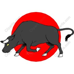 Dynamic Bull