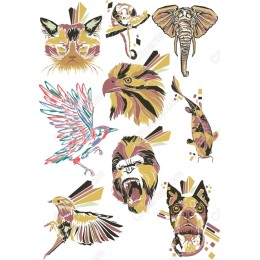 Vibrant Animal Collection: Unique