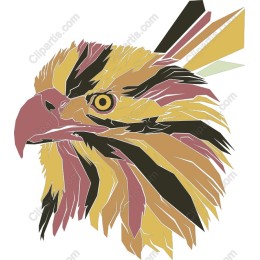 Vivid Bird Head