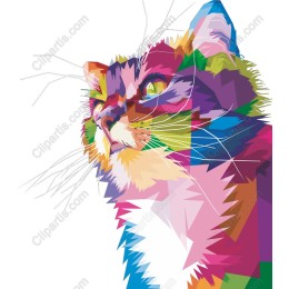 Colorful Cat - Available