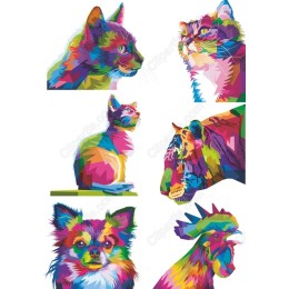 Vibrant Animal Set - Bundle