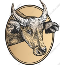 Vintage Bull Head