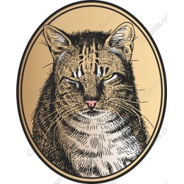Regal Tabby Cat