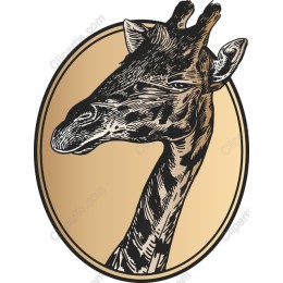 Giraffe Elegance