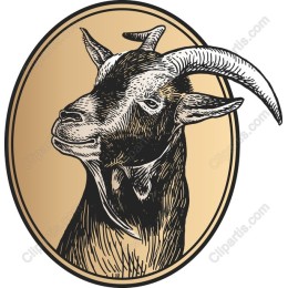 Petite Goat Portrait
