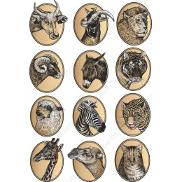 Animal Portraits Set