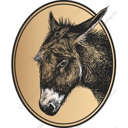 Elegant Donkey Head