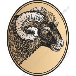 Majestic Ram