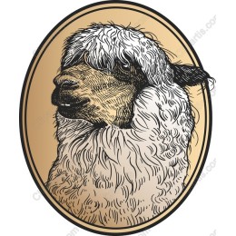 Majestic Llama
