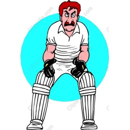 Dynamic Cricket Player