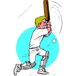 Vibrant Cricket Player