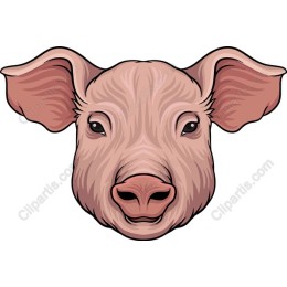 Charming Pig Head