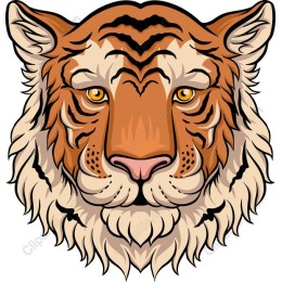 Majestic Tiger