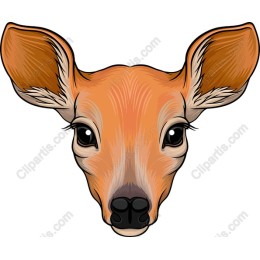 Deer Head