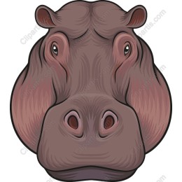 Charming Hippo Head